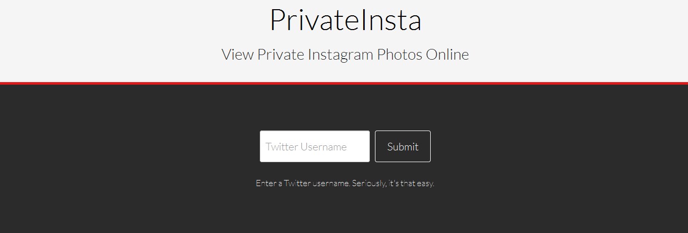 private instagram viewer no survey